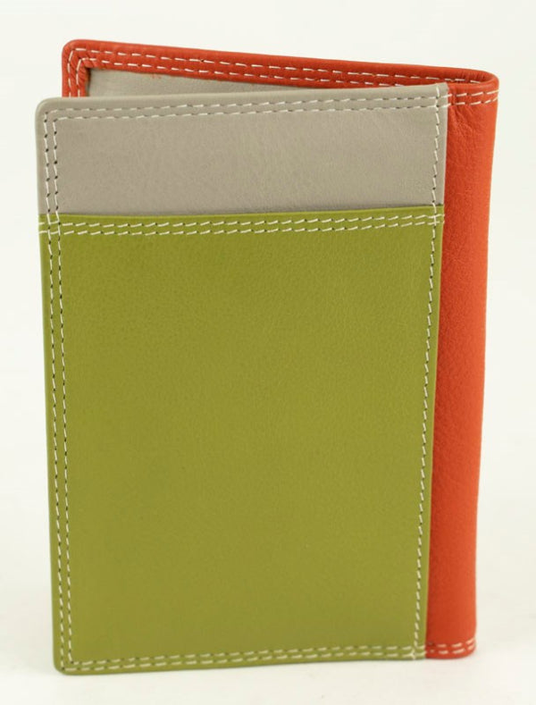 Franco Bonini Passport Wallet 16-011 Orange