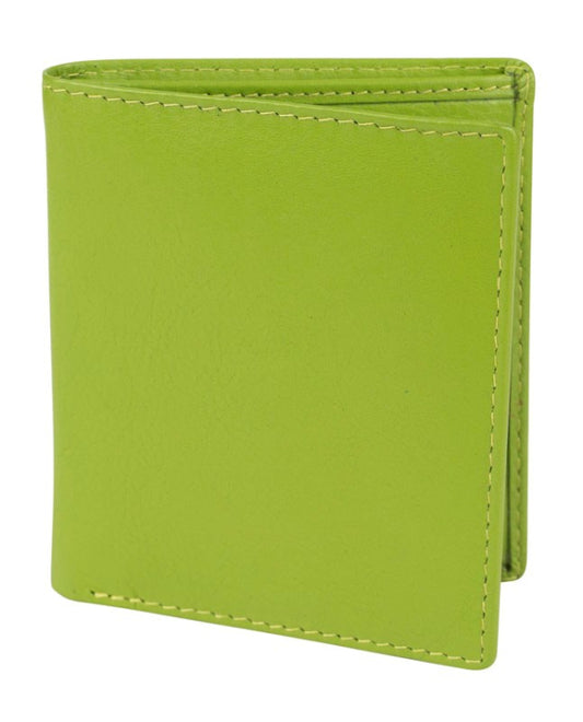 Franco Bonini Card Wallet 72 Apple