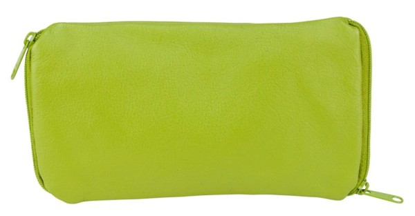 Franco Bonini Glasses Case 5075 Apple