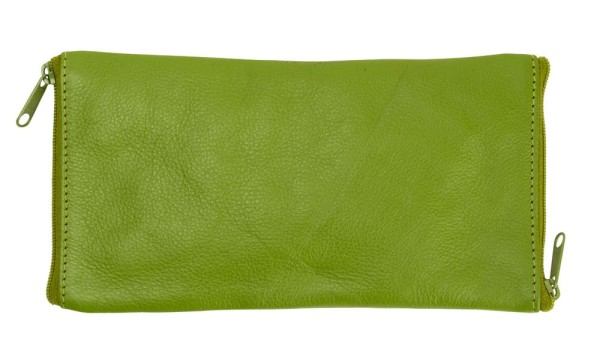 Franco Bonini Glasses Case 2020 Apple